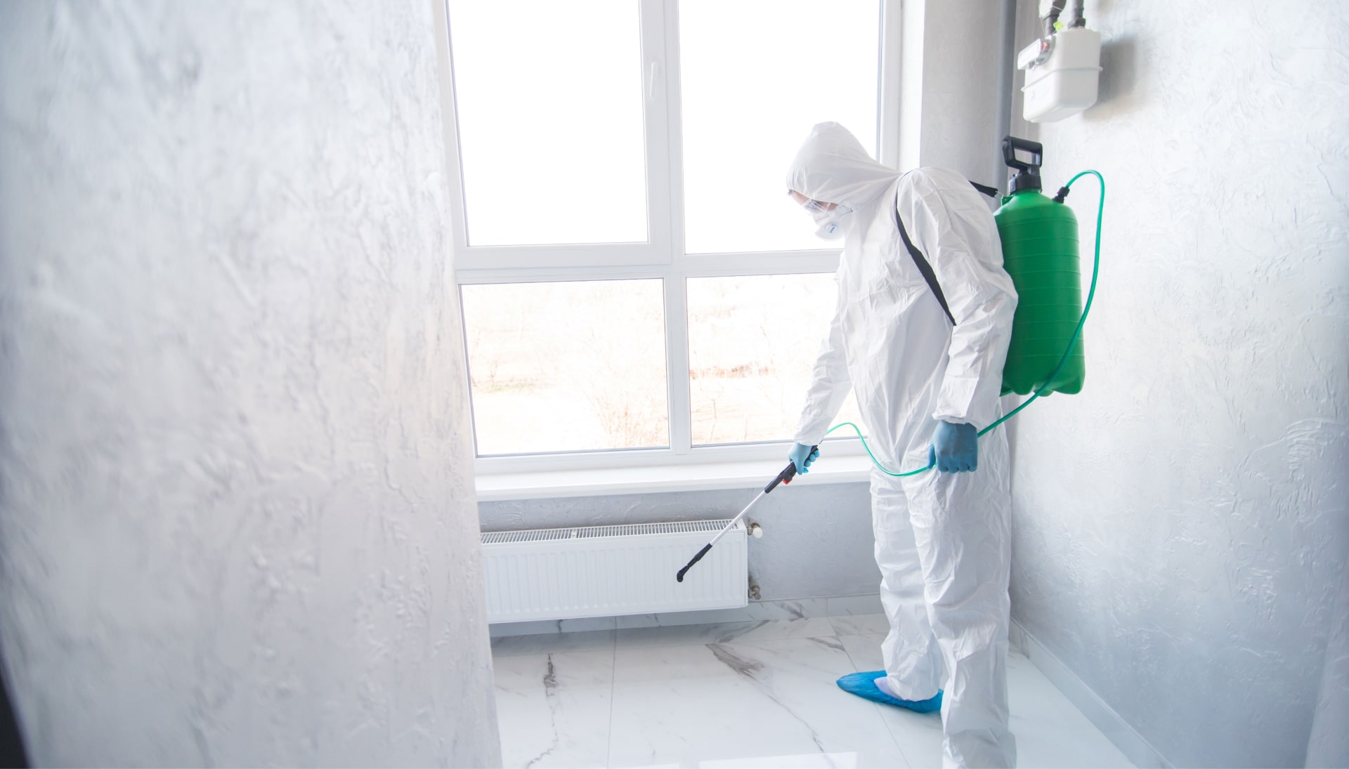 Mold-Inspection in Santa Rosa Beach